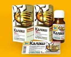Чим обприскати картоплю від колорадського жука (колорадського) Чим обприскати картоплю від колорадського жука
