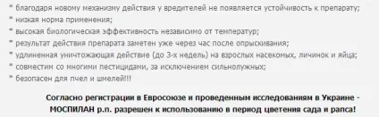 Чим обприскати картоплю від колорадського жука (шкідники) Чим обприскати картоплю від колорадського жука