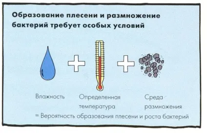 Чорна цвіль у ванній як боротися, порядок дій і кращі засоби (ванною) Чорна цвіль у ванній як боротися, порядок дій і кращі засоби