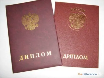 Чим відрізняється сертифікат від диплома, в чому різниця