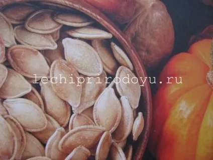 Чим корисні гарбузове насіння (Взяти подрібнених сирих) Чим корисні гарбузове насіння