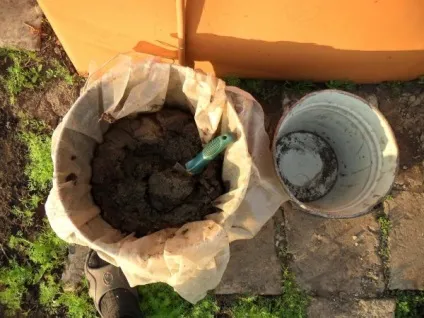 Чим в червні підгодовувати культури в саду і городі (підгодовувати) Чим в червні підгодовувати культури в саду і городі