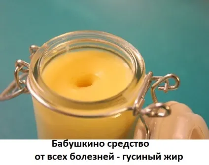 Чим корисний гусячий жир, лікувальні властивості при кашки, застосування при суглобах, сайт про методи (народні засоби лікування) Чим корисний гусячий жир, лікувальні властивості при кашки, застосування при суглобах, сайт про методи
