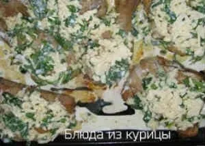 Курка в вершково-сирному соусі (Котлети курки свининою) Курка в вершково-сирному соусі