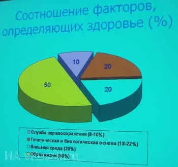 Культура здоров'я як фактор формування здоров'язберігаючих середовища технікуму (формування) Культура здоров'я як фактор формування здоров'язберігаючих середовища технікуму