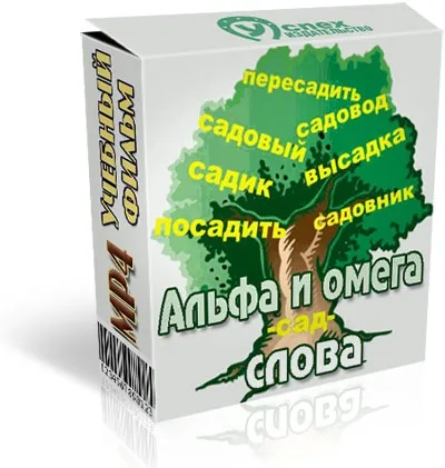 Курс - ясність думки