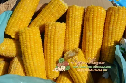Кукурудза заморожена в зернах і качанах як заморозити і готувати (качанах) Кукурудза заморожена в зернах і качанах як заморозити і готувати