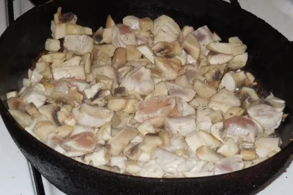 Курка тушкована з грибами або як приготувати рагу з курки - покроковий рецепт з фото (тушкована) Курка тушкована з грибами або як приготувати рагу з курки - покроковий рецепт з фото