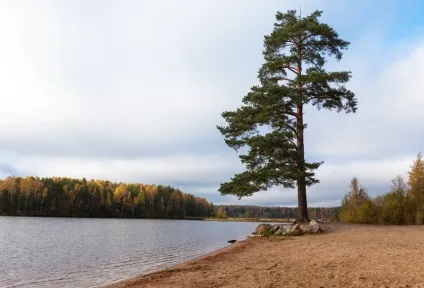 Купити ділянку біля озера наскільки це реально (купити) Купити ділянку біля озера наскільки це реально