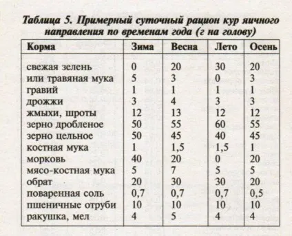 Курки породи фавероль, опис, фото, відгуки (фавероль) Курки породи фавероль, опис, фото, відгуки
