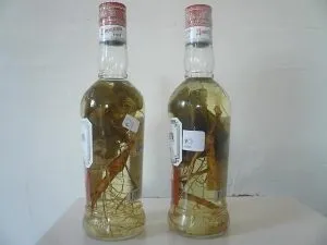 Лікування венерологічних захворювань в домашніх умовах (умовах) Лікування венерологічних захворювань в домашніх умовах