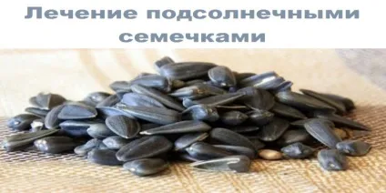 Лікування соняшниковим насінням, корисні поради (соняшниковим) Лікування соняшниковим насінням, корисні поради