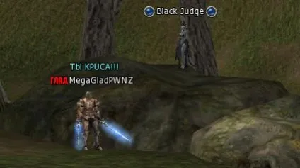 Квест на відмитих лічильника пк (покаяння) 1, врата адена - портал про lineage 2