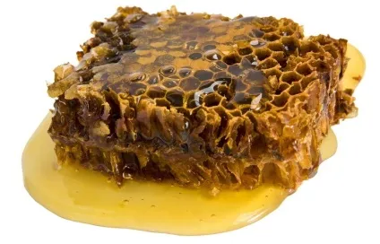 Лікування раку нирки народними засобами ефекти, рецепти (народними) Лікування раку нирки народними засобами ефекти, рецепти