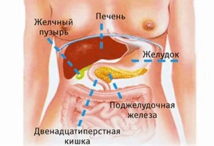 Лікування підшлункової залози, панкреатит (підшлункової) Лікування підшлункової залози, панкреатит