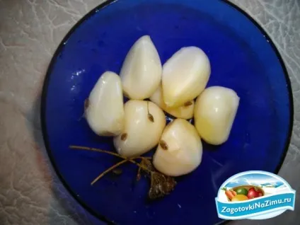 квашений часник