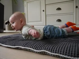 Летючий голландець Робін ван перси як новий інтернет-мем (перси) Летючий голландець Робін ван перси як новий інтернет-мем