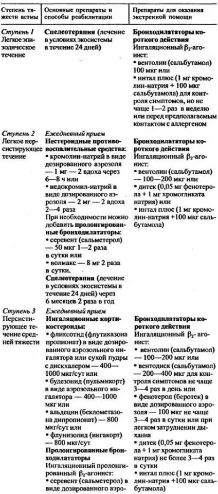 Легка персистуюча бронхіальна астма