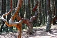 Кращі рецепти домашньої кухні - статті на 100 доріг