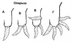 Кращі приманки на коропа; які, як вибрати, як приготувати своїми руками (коропа) Кращі приманки на коропа; які, як вибрати, як приготувати своїми руками