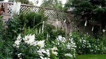 Місячний - білий сад незвичайний ландшафтний дизайн (білий) Місячний - білий сад незвичайний ландшафтний дизайн