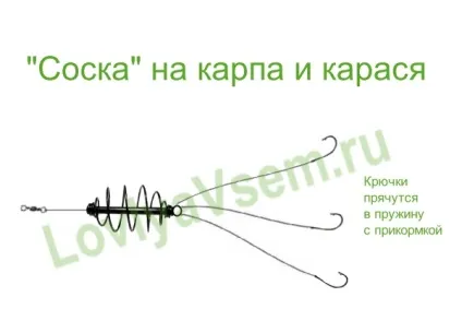 Ловля коропа на пружину як спосіб донної риболовлі (ловля коропа пружину) Ловля коропа на пружину як спосіб донної риболовлі