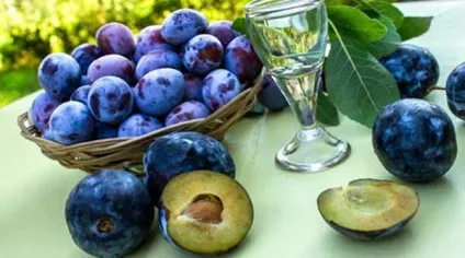 Маски з сливи - літній чарівність домашніх, блог Ірини Зайцевої (маски зі сливи - літній чарівність домашніх) Маски з сливи - літній чарівність домашніх, блог Ірини Зайцевої