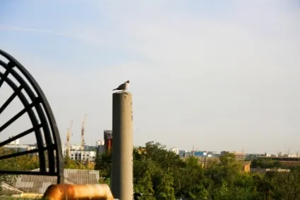 Мамаєв Червоноград і батьківщина мати - як доїхати, що дивитися (курган) Мамаєв Червоноград і батьківщина мати - як доїхати, що дивитися