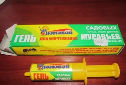 Маленькі червоні мурахи в квартирі як позбавиться (позбавиться) Маленькі червоні мурахи в квартирі як позбавиться