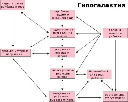 Мало молока у годуючої матері що робити для його стимуляції
