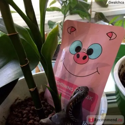 Маска осветляющая л етуаль brightening pig mask - «- я малюю на асфальті білою крейдою свинку Пеппі (маска) Маска осветляющая л етуаль brightening pig mask - «- я малюю на асфальті білою крейдою свинку Пеппі