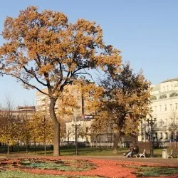 Місця весільних прогулянок, http
