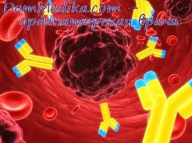 Механізми захисту антитіл (механізми захисту антитіл) Механізми захисту антитіл