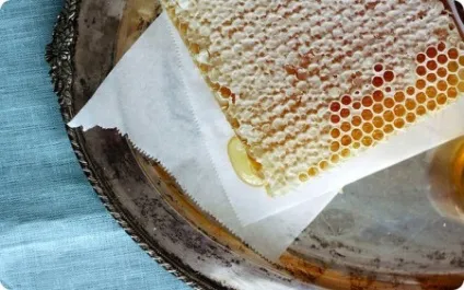 Мед в сотах (стільниковий) чим корисний, виробництво з рамками (мед стільники стільниковий користь виробництво рамка) Мед в сотах (стільниковий) чим корисний, виробництво з рамками