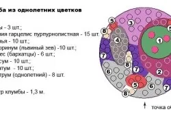 Багатоярусні клумби своїми руками (відео) (ландшафтний дизайн) Багатоярусні клумби своїми руками (відео)