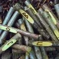Чи можна вирішити проблеми за допомогою рун і як це зробити (проблеми) Чи можна вирішити проблеми за допомогою рун і як це зробити