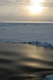 морський лід