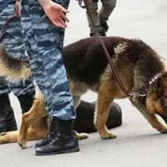 Москва, новини, в підмосковних Люберцях перекриті центральні вулиці знайдено підозрілий предмет