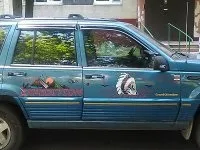 Наклейка на авто кіт Саймона з мискою в лапах машину вінілова - матова, глянцева, (авто) Наклейка на авто кіт Саймона з мискою в лапах машину вінілова - матова, глянцева,
