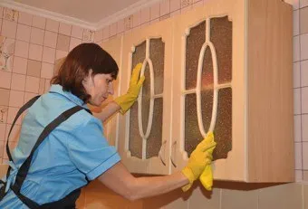 Борошняні жучки на кухні способи боротьби (жучки) Борошняні жучки на кухні способи боротьби