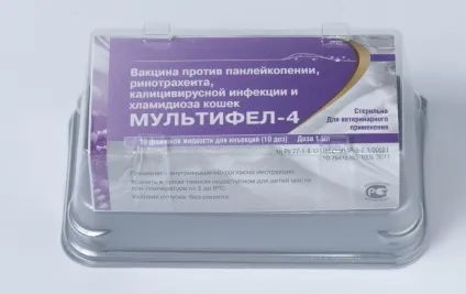 Мультіфел-4 інструкція із застосування вакцини для кішок і відгуки про щеплення (застосування) Мультіфел-4 інструкція із застосування вакцини для кішок і відгуки про щеплення