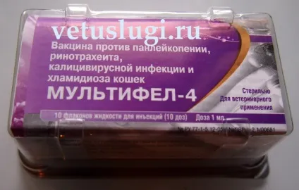 Мультіфел-4 інструкція із застосування вакцини для кішок і відгуки про щеплення (застосування) Мультіфел-4 інструкція із застосування вакцини для кішок і відгуки про щеплення