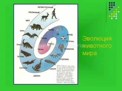 Наочне моделювання в дитячому садку (наочне) Наочне моделювання в дитячому садку