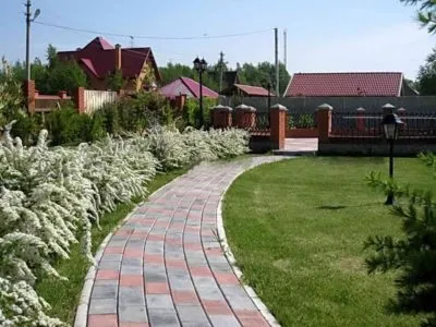 Що посадити уздовж забору на дачі які рослини, квіти (уздовж) Що посадити уздовж забору на дачі які рослини, квіти