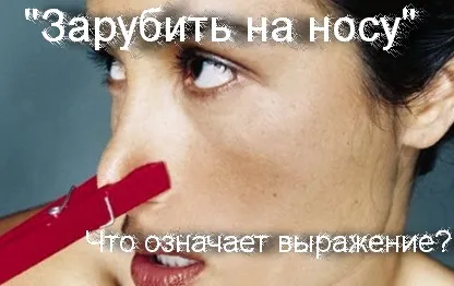 Що означає вираз - зарубати на носі історія фразеологізму, що означає (означає) Що означає вираз - зарубати на носі історія фразеологізму, що означає
