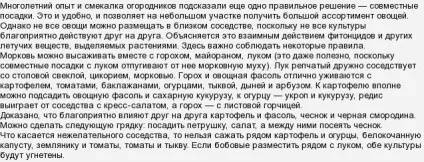 Що найкраще посадити після полуниці (після) Що найкраще посадити після полуниці
