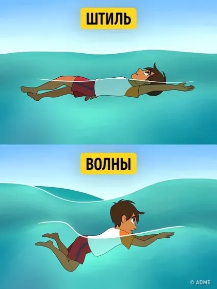 Що робити, якщо ви опинилися у відкритому морі (відкритому) Що робити, якщо ви опинилися у відкритому морі