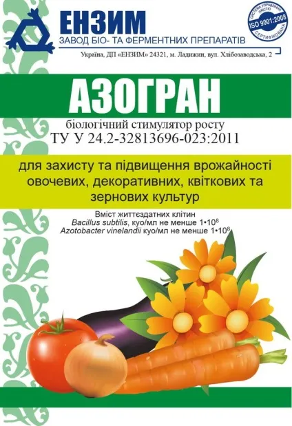 Що робити, якщо сохне груша