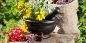 Народна медицина - лікування водоростями