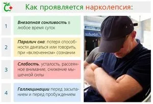 Нарколепсія (синдром Желіно) - симптоми, причини і лікування раптових нападів сну (Желіно) Нарколепсія (синдром Желіно) - симптоми, причини і лікування раптових нападів сну